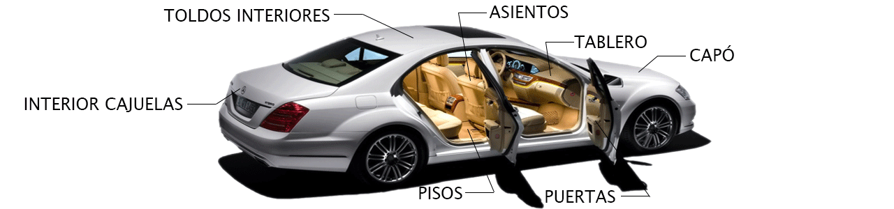 INTERIORES-DE-AUTOS-DIPOL